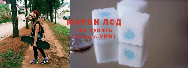 хмурый Арсеньев