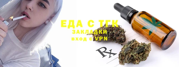 хмурый Арсеньев