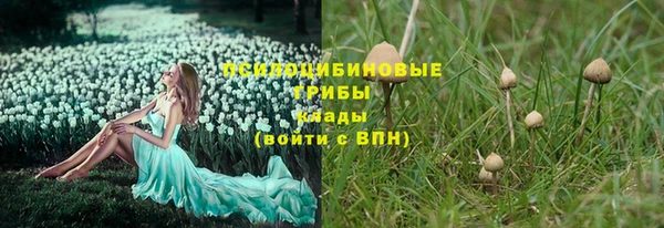 альфа пвп Каменногорск