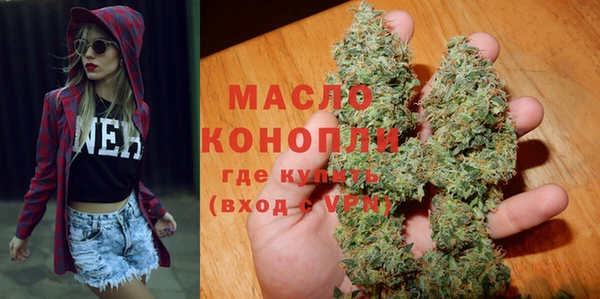 хмурый Арсеньев