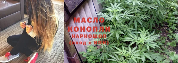 хмурый Арсеньев