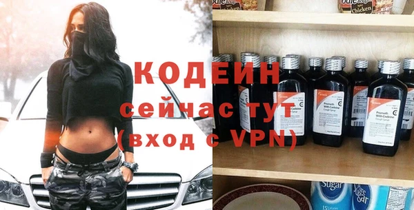 хмурый Арсеньев