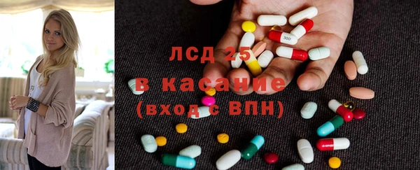 хмурый Арсеньев