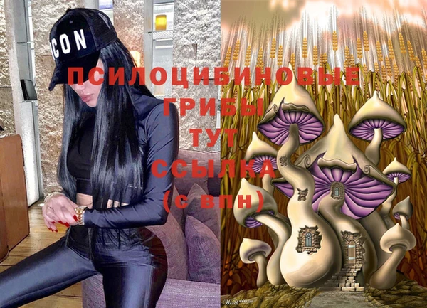 хмурый Арсеньев