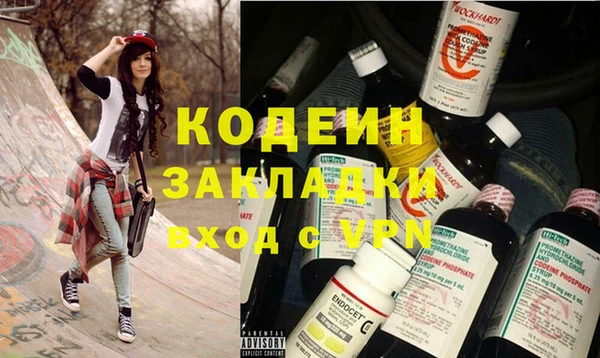 хмурый Арсеньев