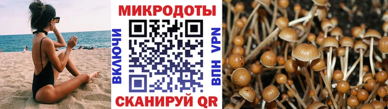 Галлюциногенные грибы Magic Shrooms  Брянск 